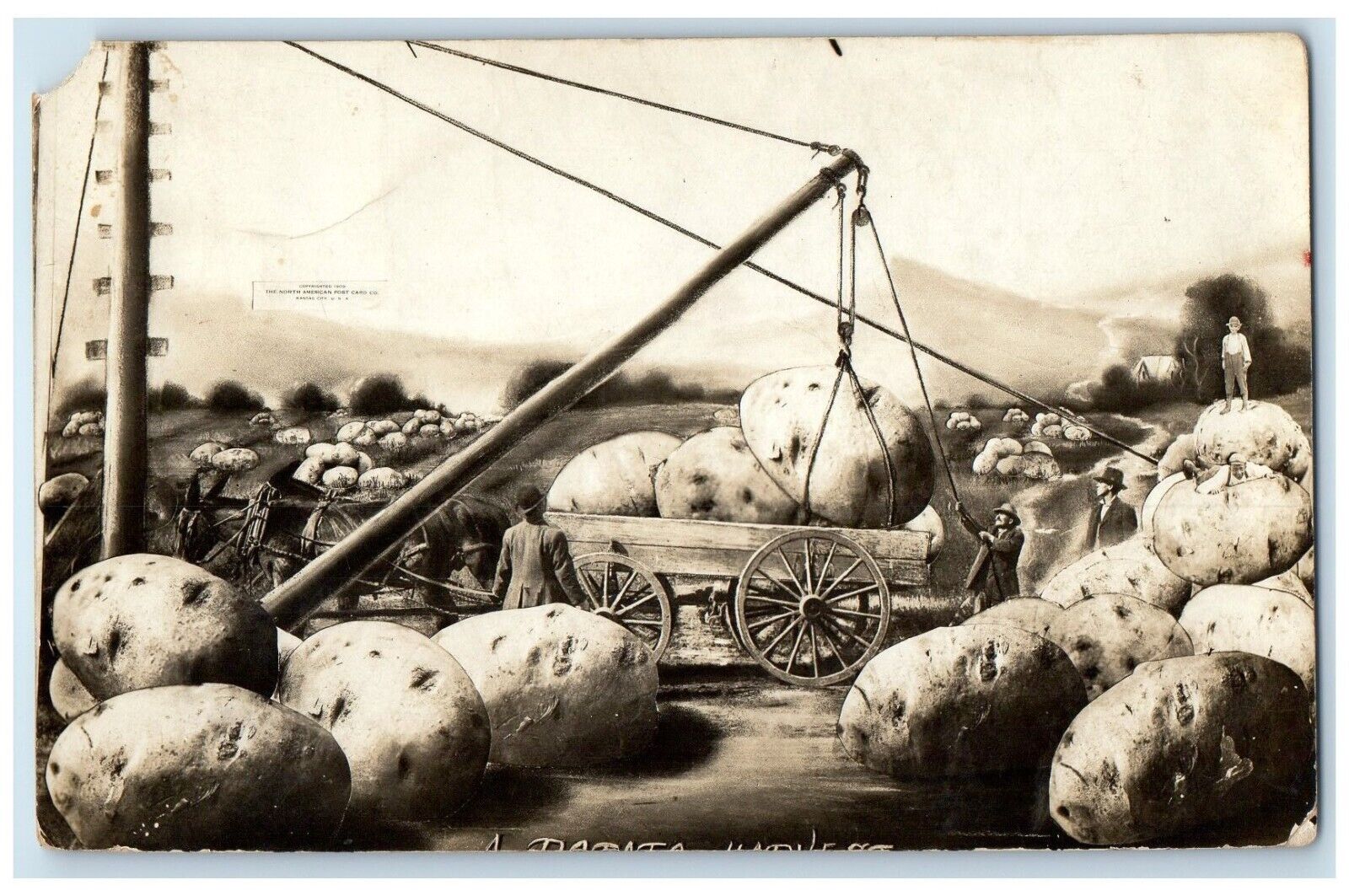 1910 Exaggerated Potatoes Horse And Wagon Martin Ralph SD RPPC Photo Postcard