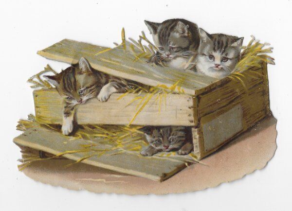 1888 Chromo de Coupis, Fancy French CATS NO.3 Antique, Diecut, Scraps 4.5\