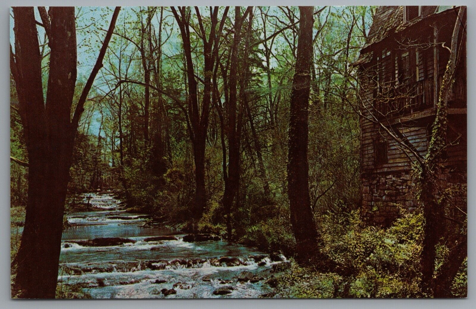 Russelville TN Greetings from Morristown Old Cain\'s Mill Stream c1964 Postcard