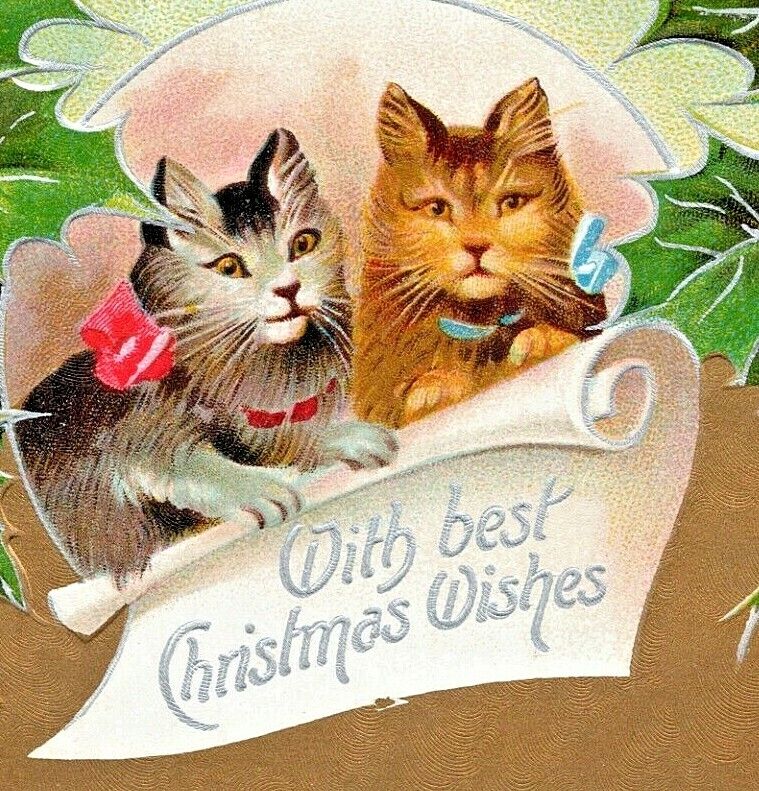 c1907 Christmas Cats, Holly Berries, Antique Postcard, embossed, Laconia, WA