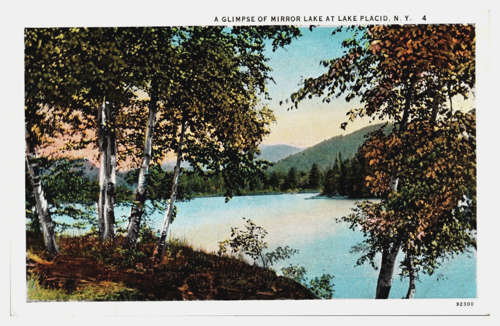Glimpse of Mirror Lake Placid Trees White Border Vintage Unposted Postcard