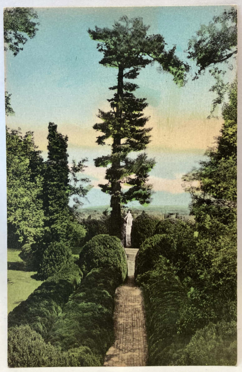 Evergreen Garden, Ash Lawn, Home of President Monroe, Hand-Colored Postcard