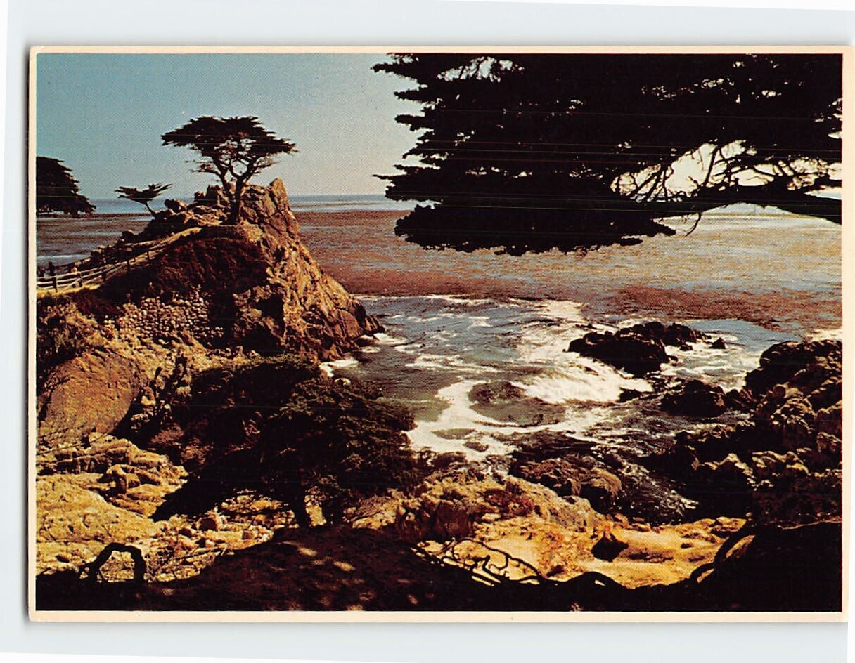 Postcard Cypress Point Monterey California USA North America