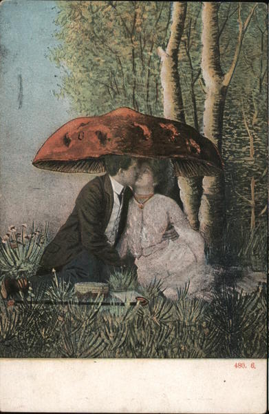 Couple About to Kiss Under a Giant Mushroom Postcard Vintage Post Card