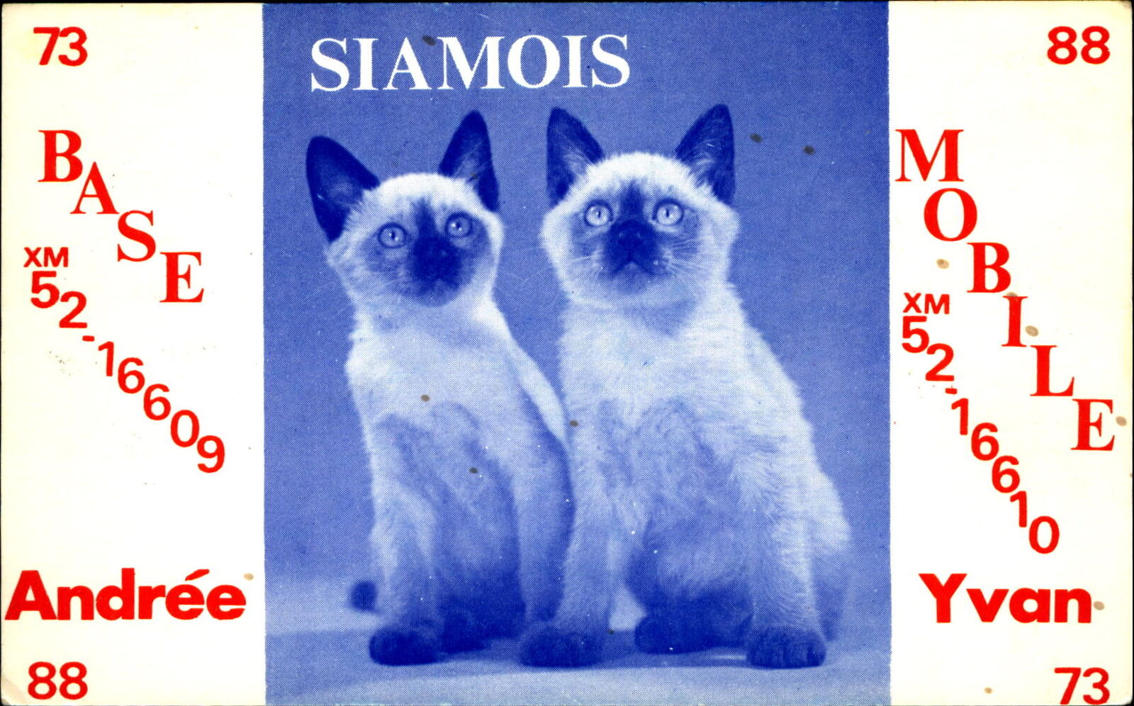Siamois cats ~ QSL card ~Lourdes de Joliette ~ Quebec Canada