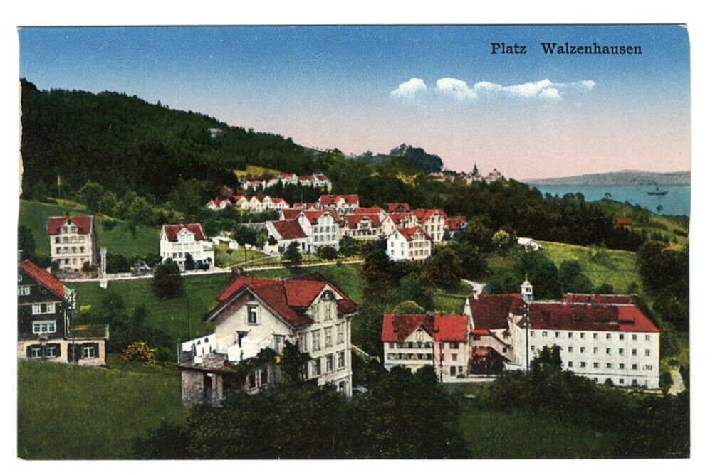 Postcard A Birds Eye View Walzenhausen Switzerland