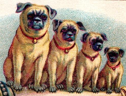 1880's 4 PUG DOGS ON A CIGARETTE HOLDER*GOODRICH & CO*OSWEGO NEW YORK*TRADE CARD