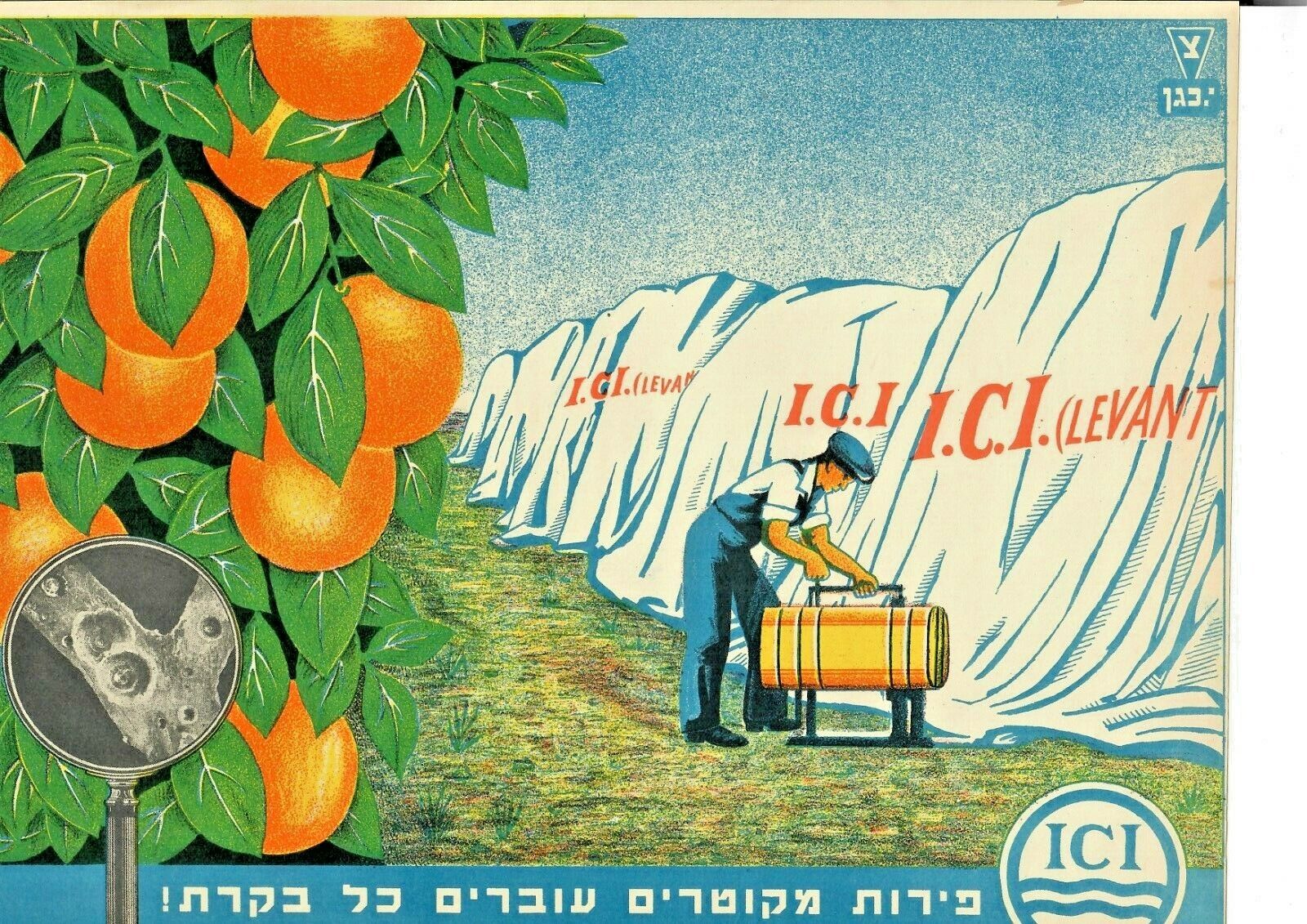 palestine  jaffa orange judaica 