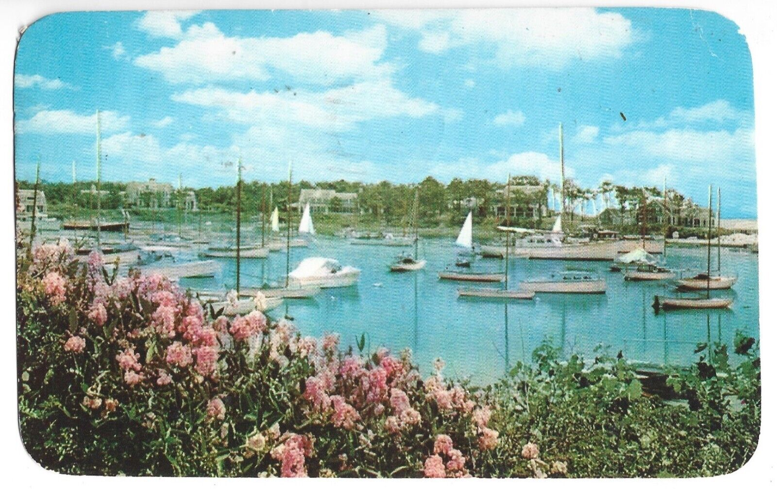 Postcard Wychmere Harbor Harwichport  Cape Cod Massachusetts Vintage