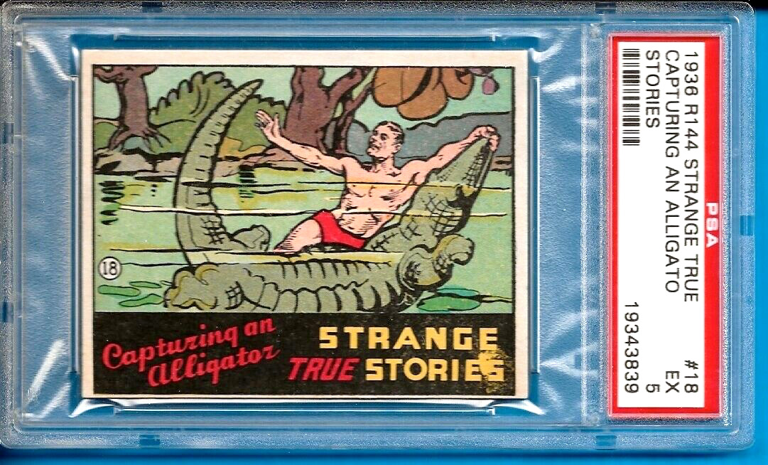 1936 R144 Strange True Stories #18 Capturing an Alligator Psa 5