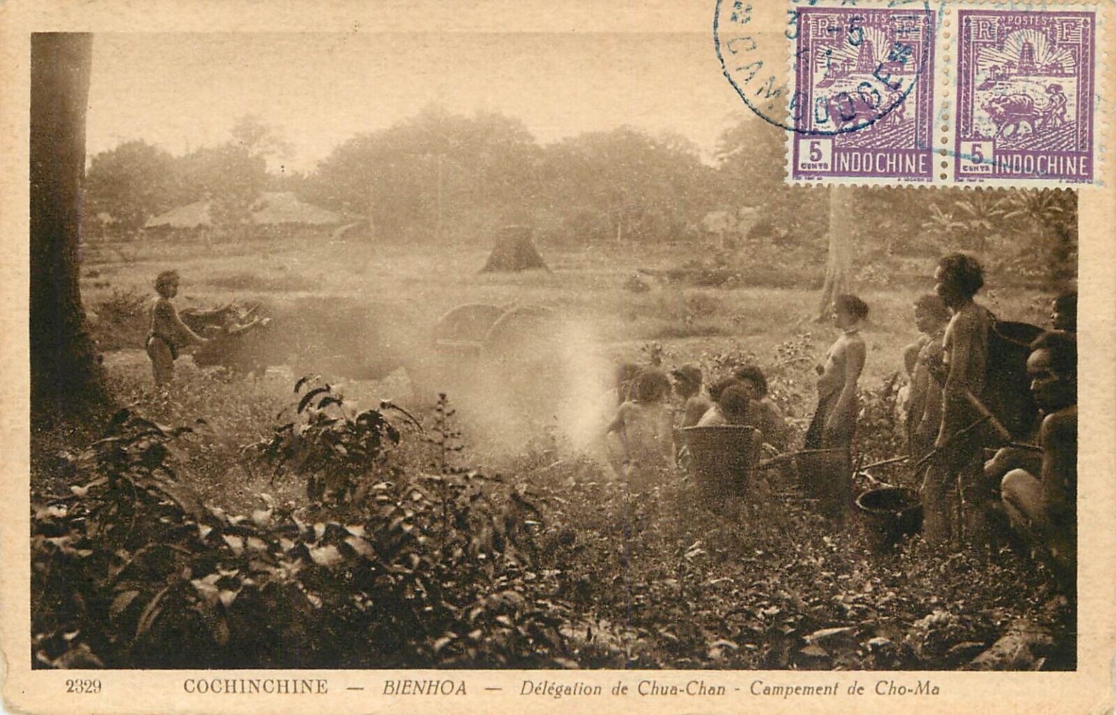 Vintage Postcard French Indo-China Vietnam Tea-Picking at Chua Chan Mountain