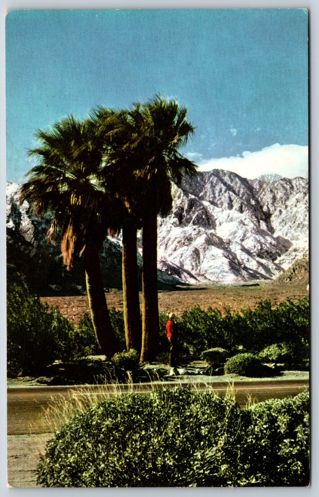 Postcard Mt. San Jacinto 10831 Feet San Jacinto Mountains California Unposted