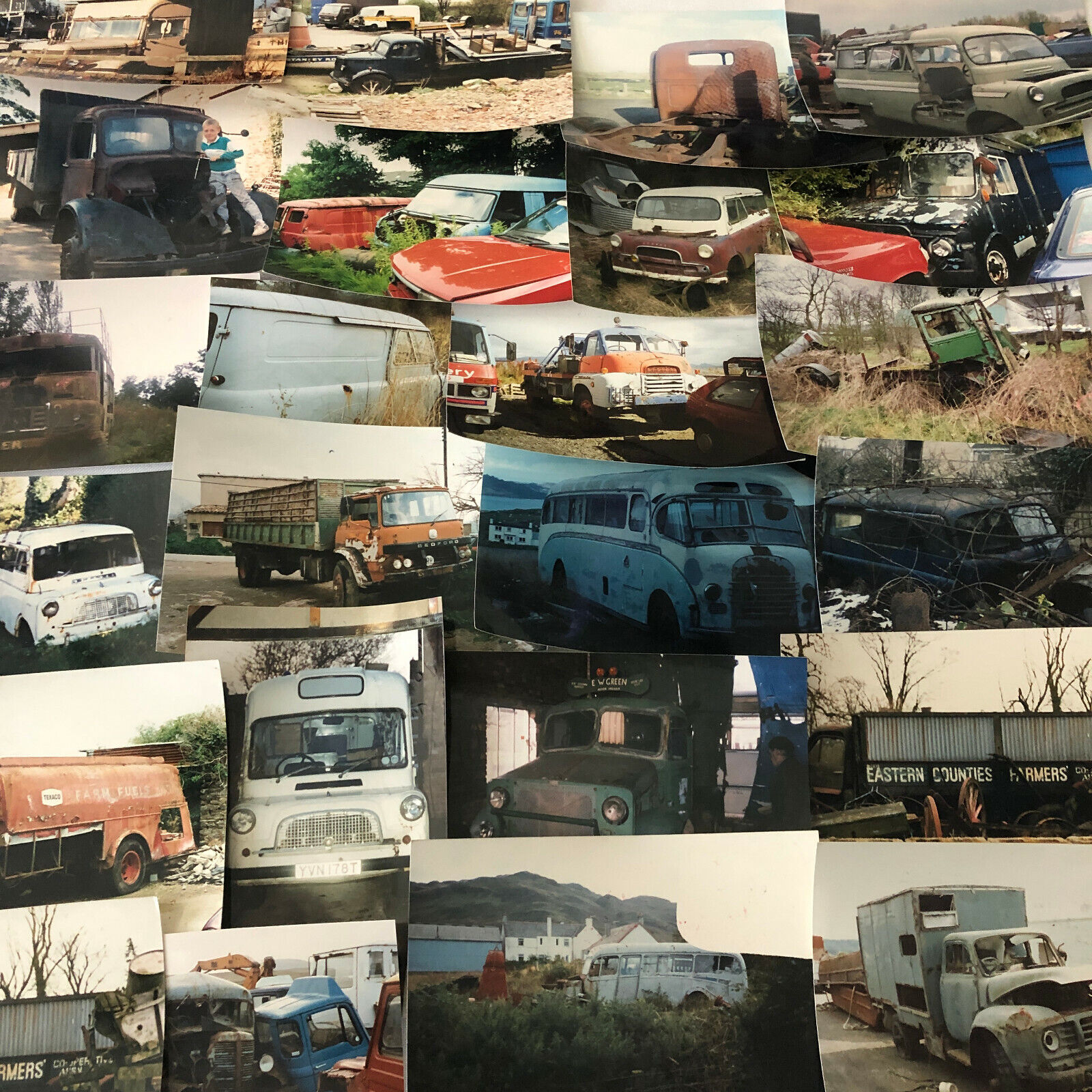 Vintage Bedford Truck Barn Find Junk Yard Parts Photo Photograph Print Lot 43x
