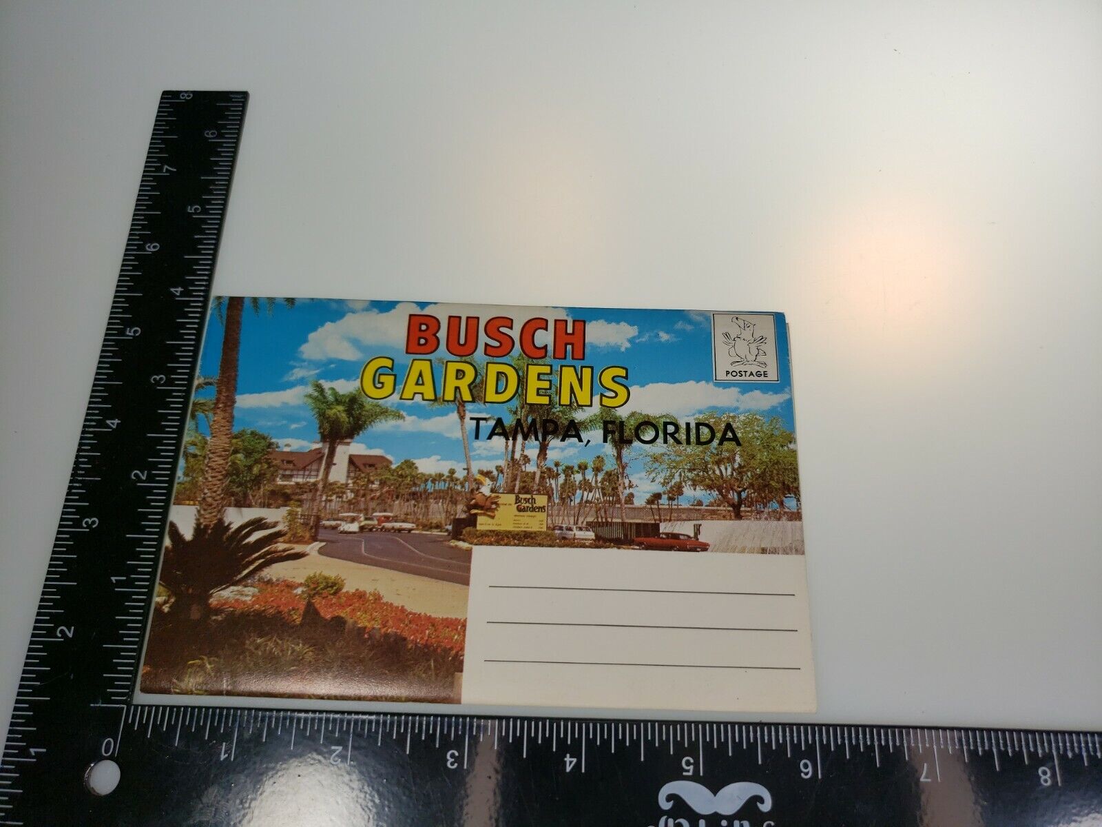 Postcard Folder Florida FL Tampa Busch Gardens Animals Stairway to Stars Chrome