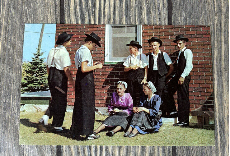 Vintage Amish Country Boys And Girls Sunday Afternoon Postcard