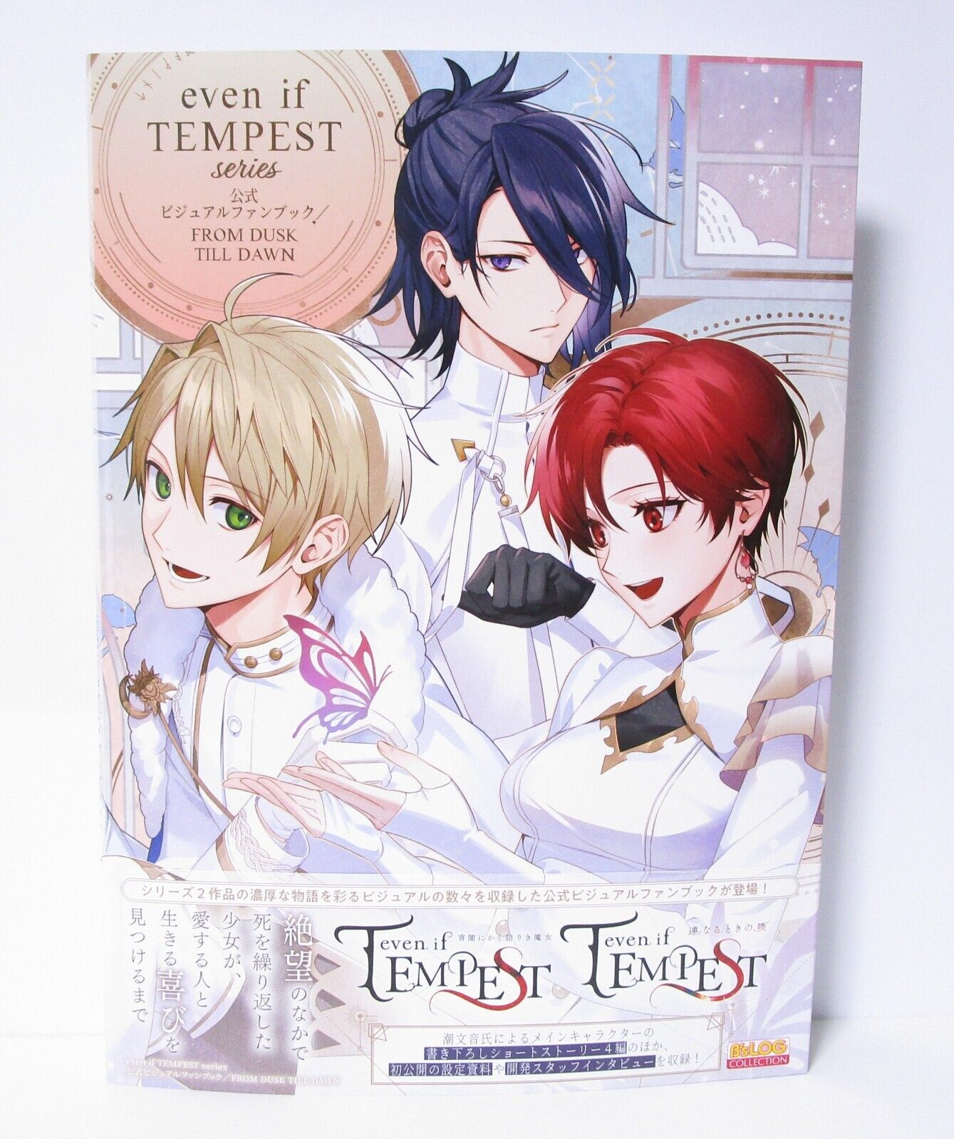 even if TEMPEST series Official Visual Fan Book FROM DUSK TILL DAWN