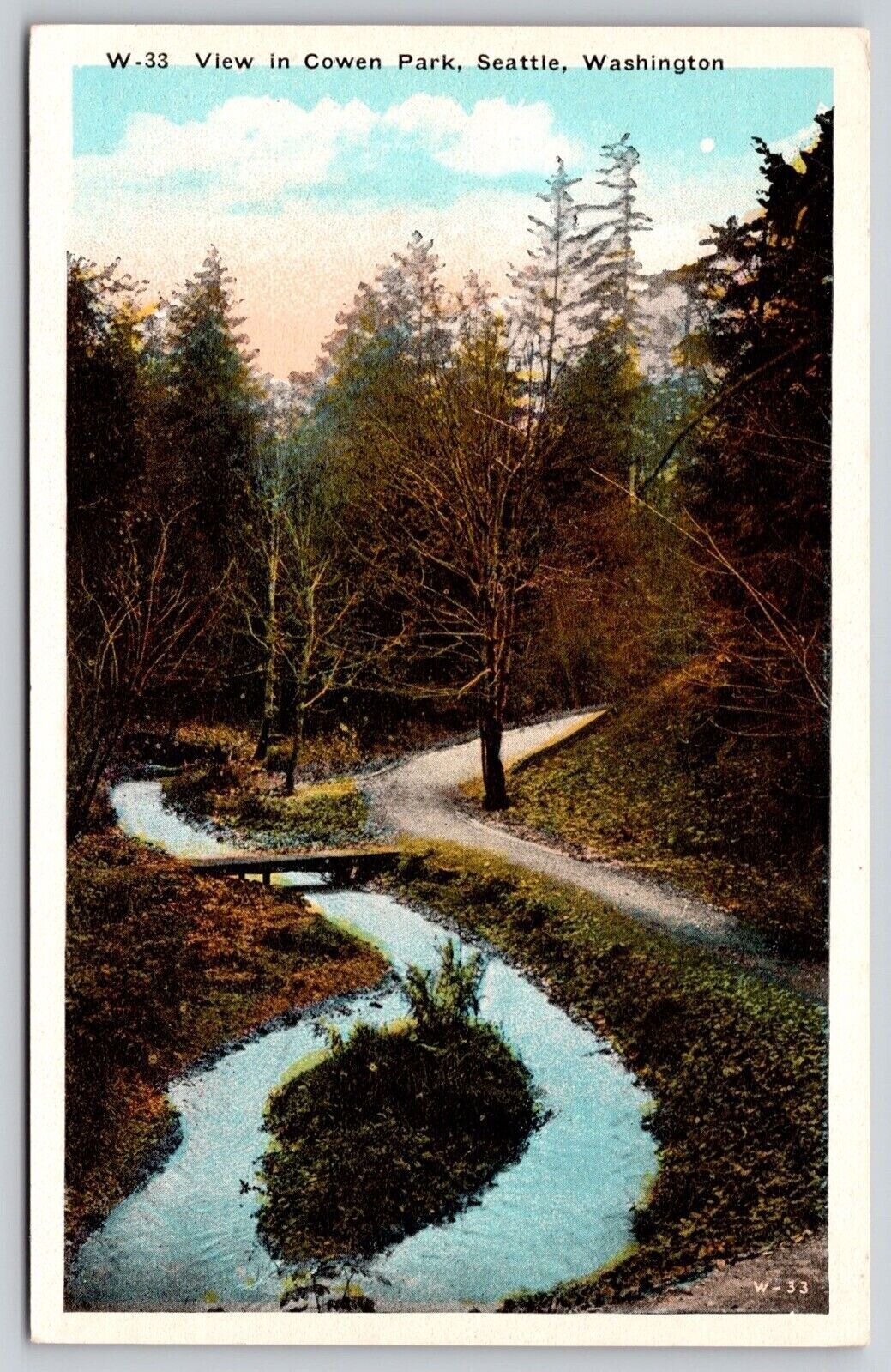 View Cowen Park Seattle Washington Undivided Back Postcard