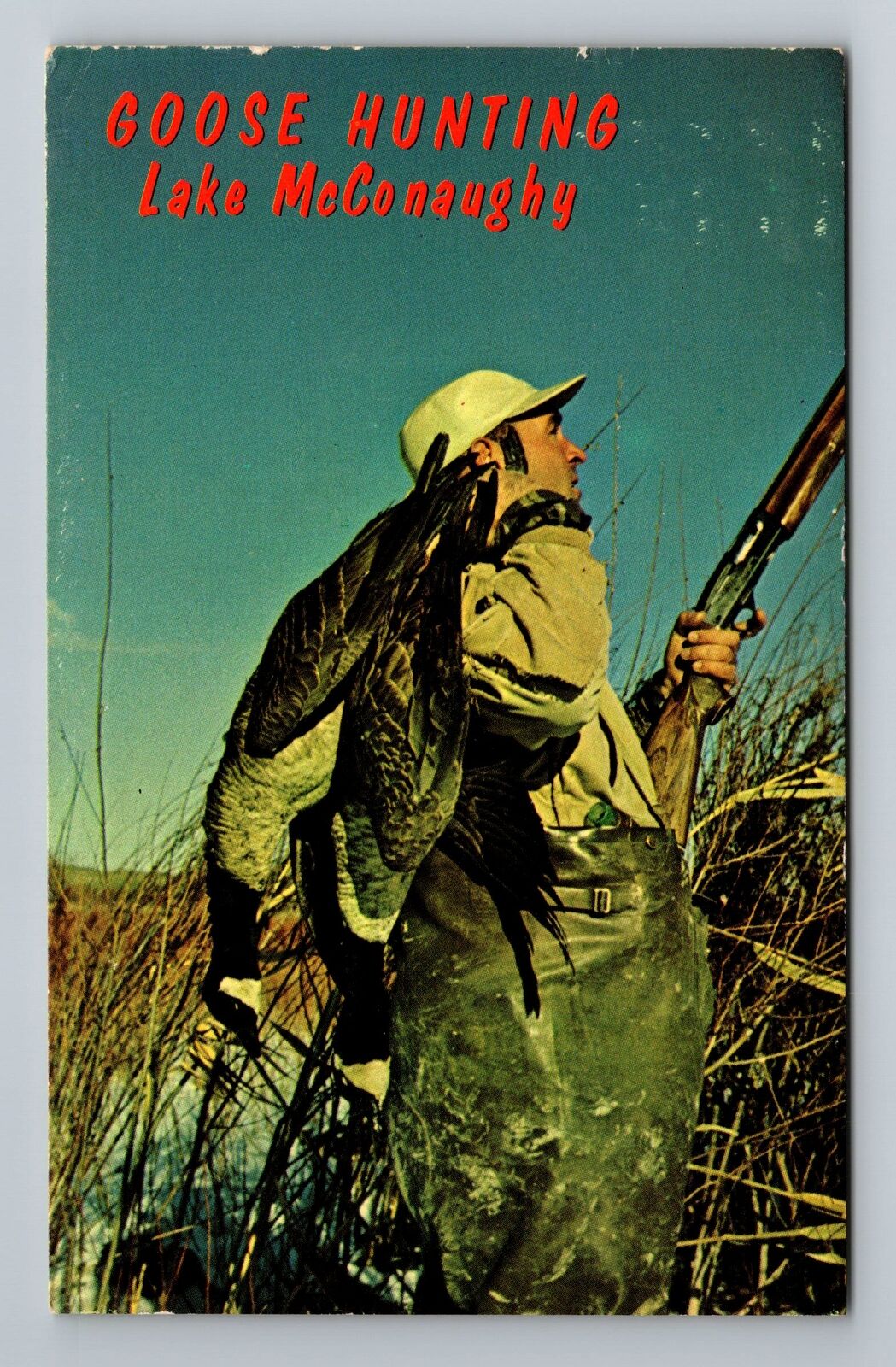 Ogallala NE-Nebraska, Goose Hunting Lake McConaughy, Vintage Postcard