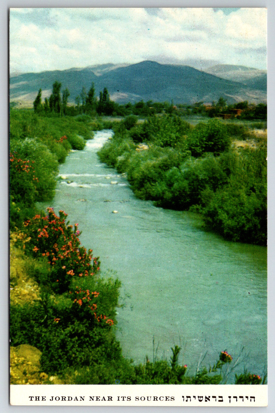 c1960s The Jordan River Israel Neat Its Sources Jewish Vintage Postcard