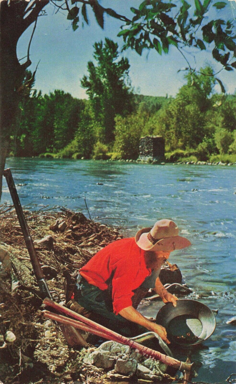 Postcard CA Pioneer Gold Prospector Mother Lode Country Stream River 49ers