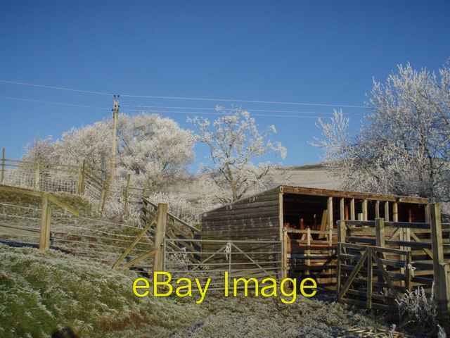 Photo 6x4 Uplands sheds Dingwall\\/NH5458 Sheds and sheep pens at Uplands  c2008