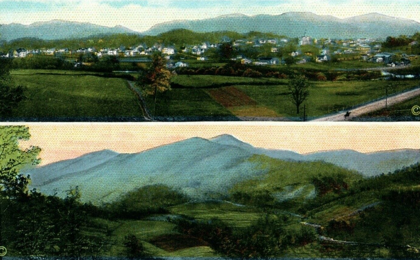 1910 Bird\'s Eye View Waynesville North Carolina NC Plott\'s Balsam Postcard