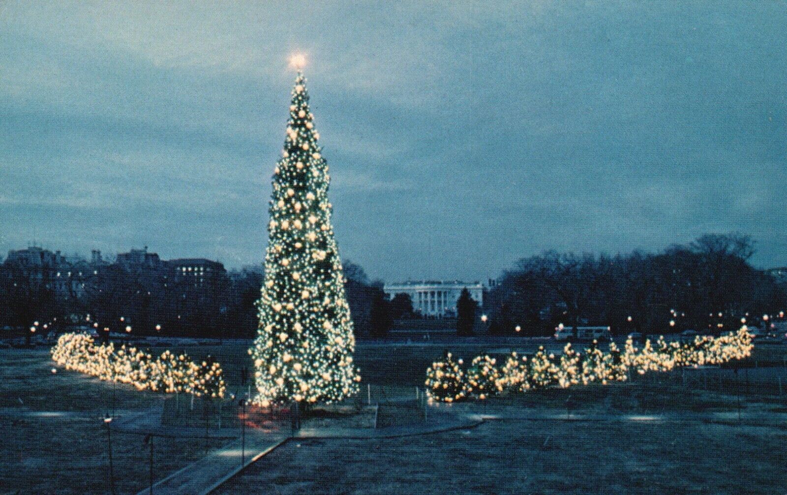 Postcard DC Washington DC 1969 Christmas Trees Pageant of Peace Vintage PC G1915