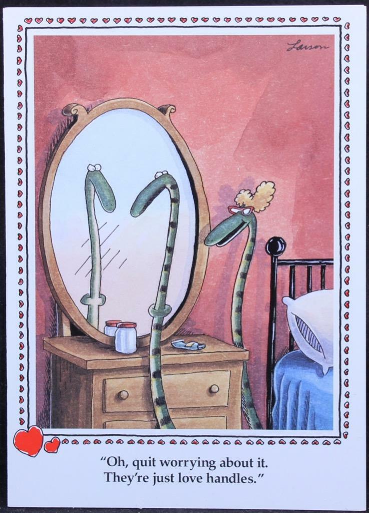 1984 Far Side Valentine\'s Day Greeting Card By Gary Larson NEW