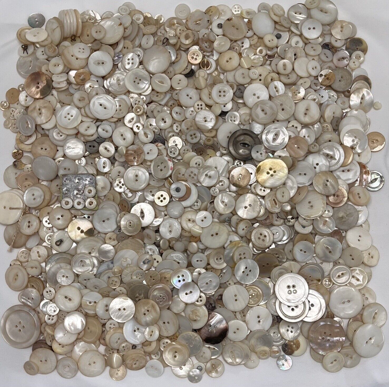 HUGE Lot of Antique & Vintage MOP Buttons - Dimi to 1-1/2\