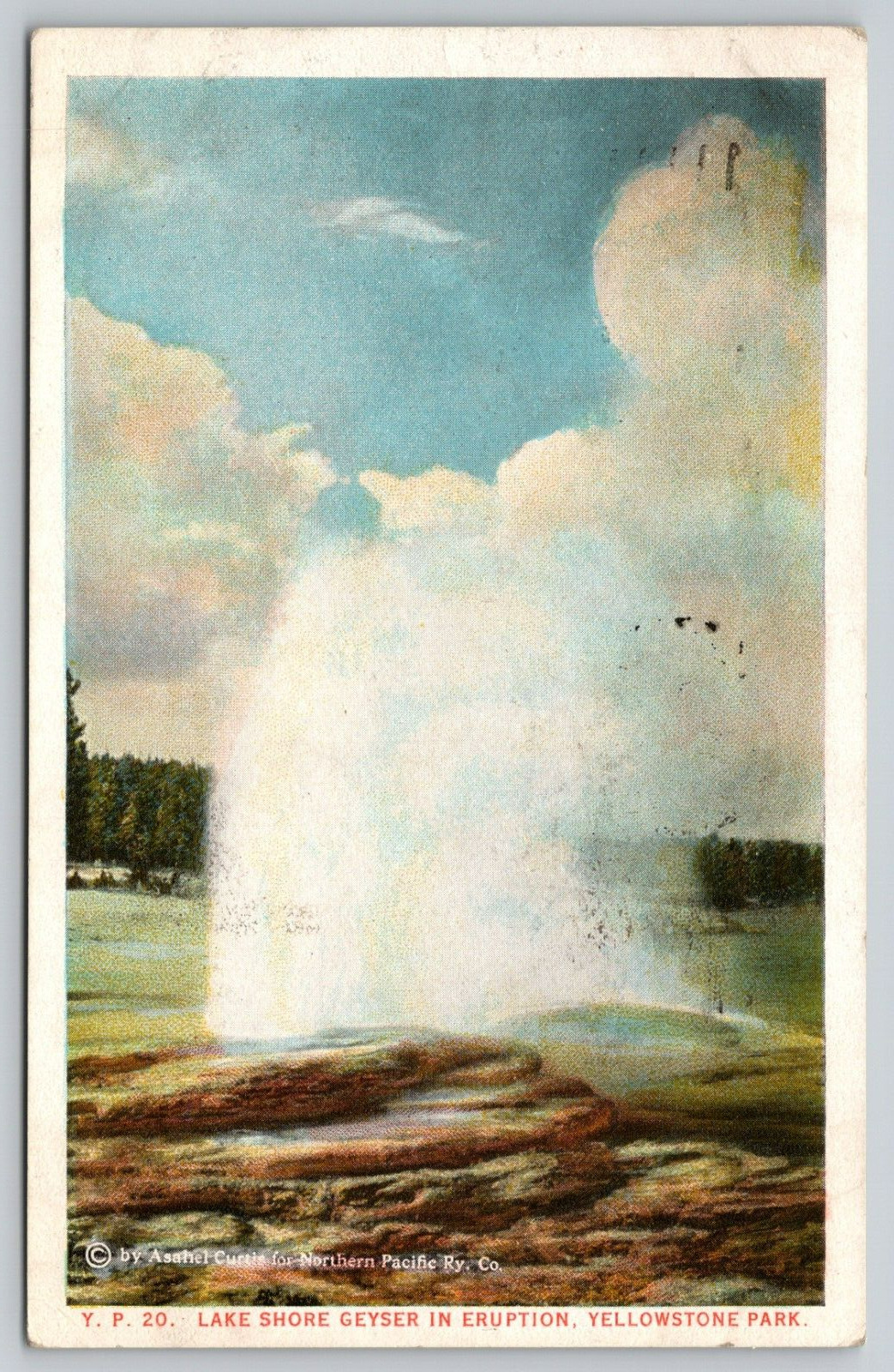 Postcard WY Yellowstone Park Lake Shore Geyser In Eruption WB A10