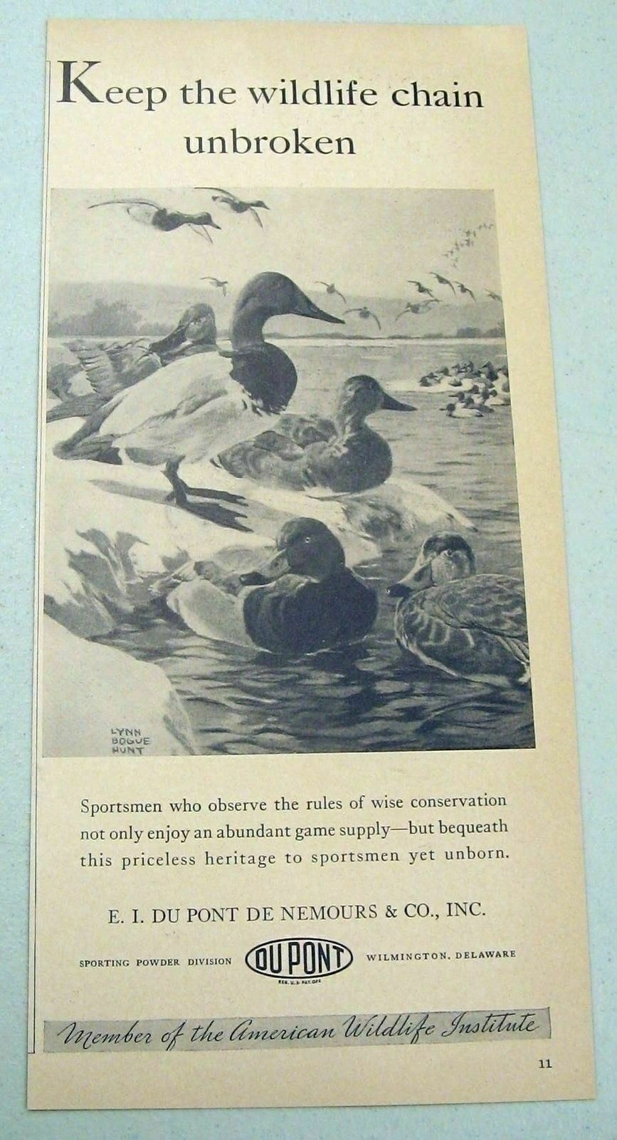 1937 Print Ad Du Pont Sporting Powder Wilmington,DE Ducks by Lynn Bogue Hunt