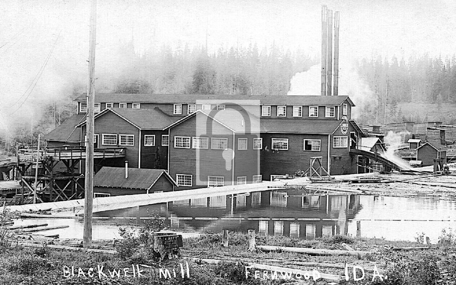 Blackwell Lumber Mill Fernwood Idaho ID Reprint Postcard 