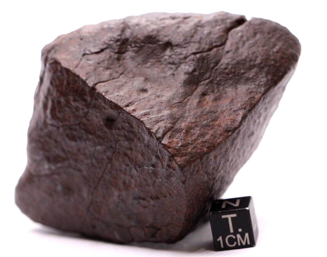 Meteorite NWA Chondrite Meteorite 211 grams