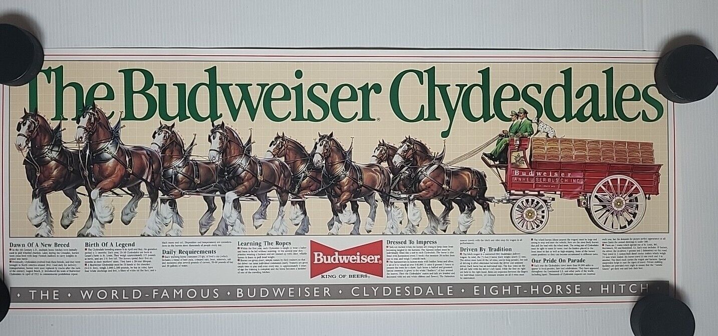 Budweiser Clydesdales 8 Horse Hitch Panoramic Poster