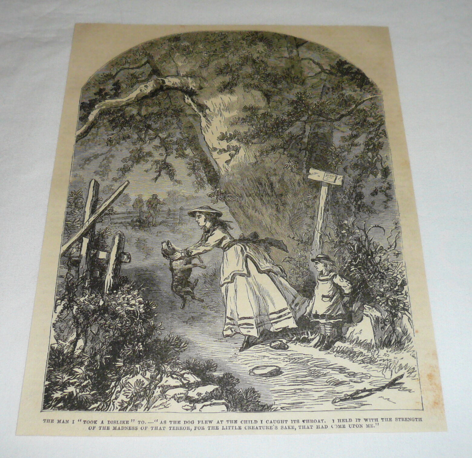 1877 magazine engraving ~ WOMAN GRABS ATTACKING DOG