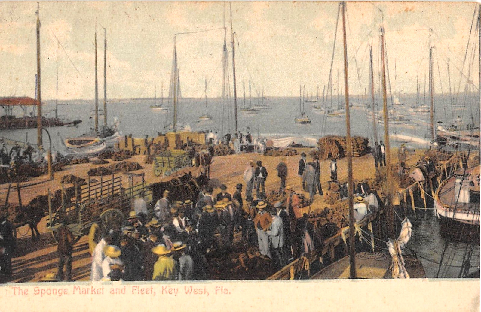 c.1908 Sponge Market & Fleet in Harbor Key West FL post card