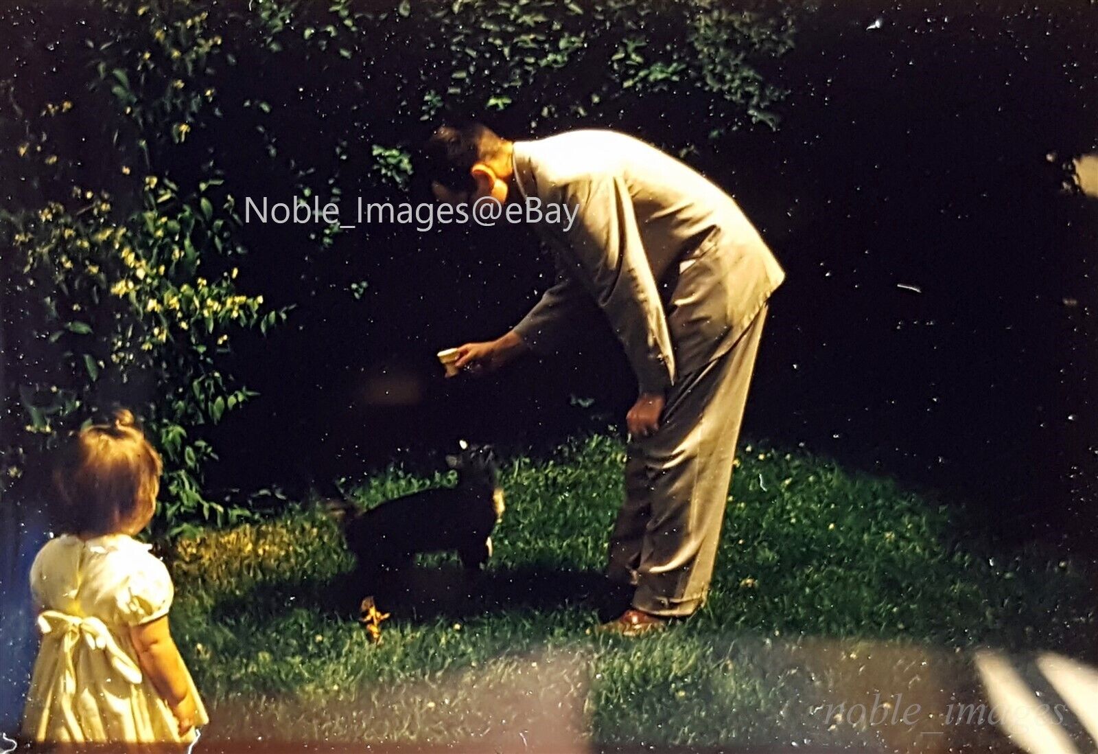 1959 Dad Toddler Dog Ice Cream Cone Yard Kodachrome 35mm Slide