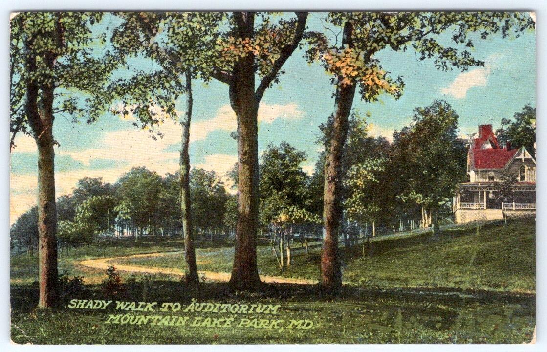 1911 MOUNTAIN LAKE PARK MARYLAND MD SHADY WALK TO AUDITORIUM ANTIQUE POSTCARD