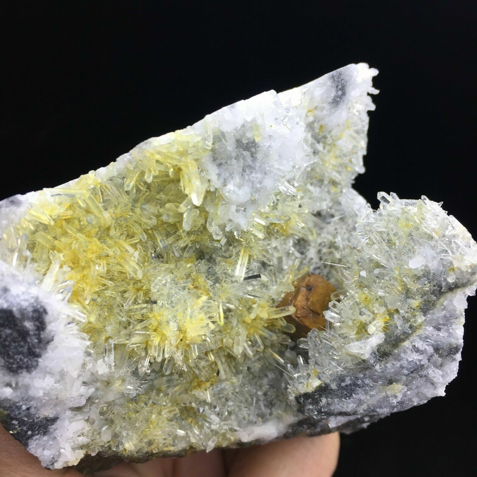 310g Natural Extremely Transparent Chrysanthemum Crystal Cluster Mineral 