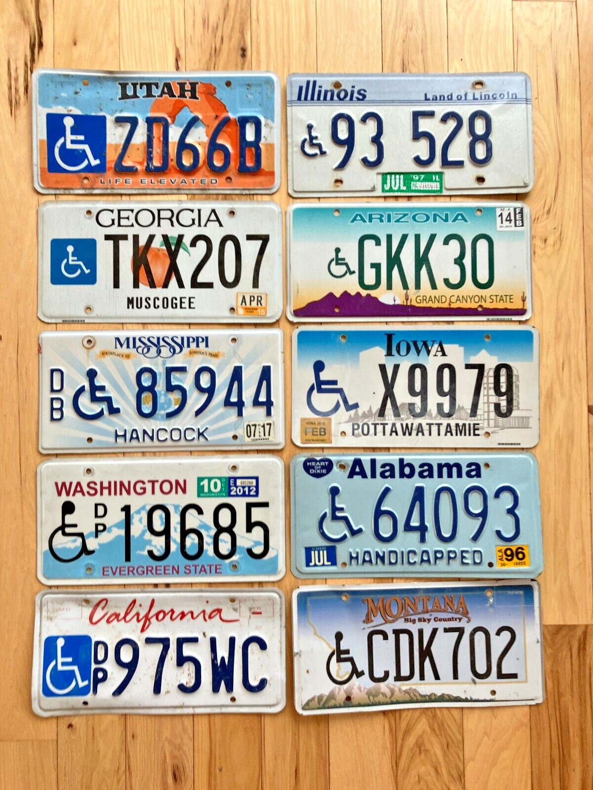 10 Craft Condition Handicapped/Disabled License Plates from 10 Different States