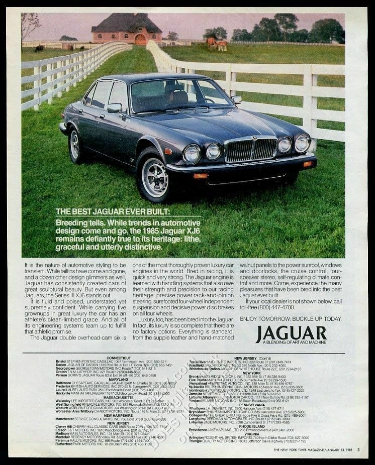 1985 Jaguar XJ6 Series III silver car at horse farm photo vintage print ad