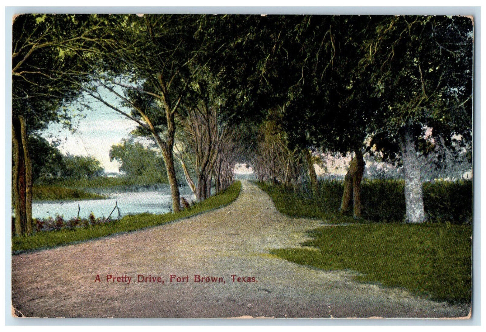 1908 A Pretty Drive View Tree-lined Dirt Road View Forth Brown Texas TX Postcard