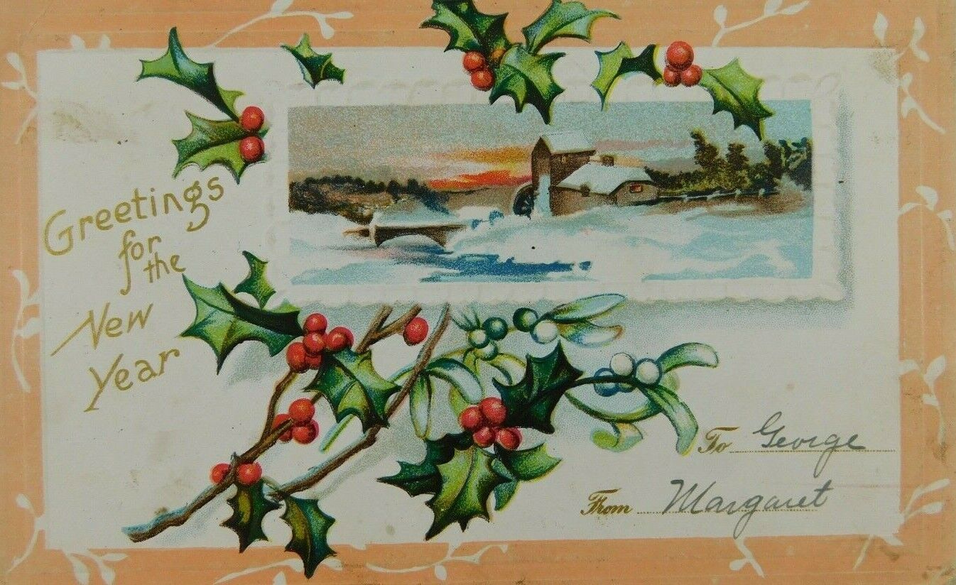 Greetings For The New Year Winter Scene Posted Divided Back Vintage Postcard
