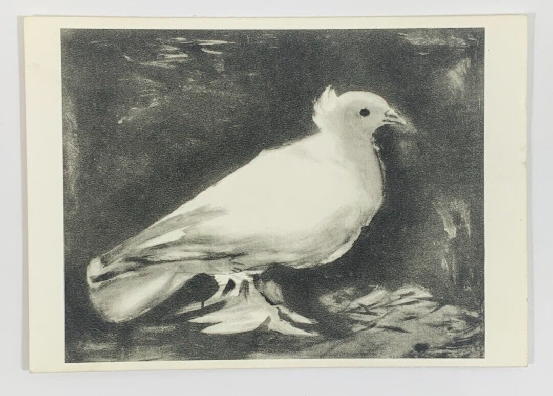 Pablo Picasso The Dove Art Postcard 1960 Galerie Louise Leiris Paris France