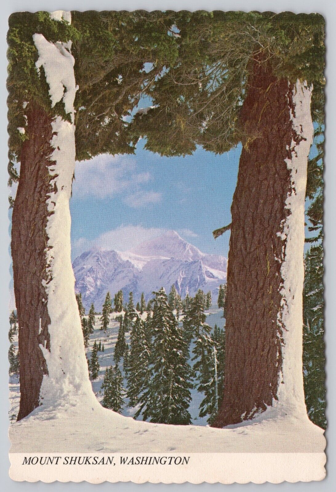 Mount Shuksan Washington, North Cascade Recreation Area, Vintage Postcard