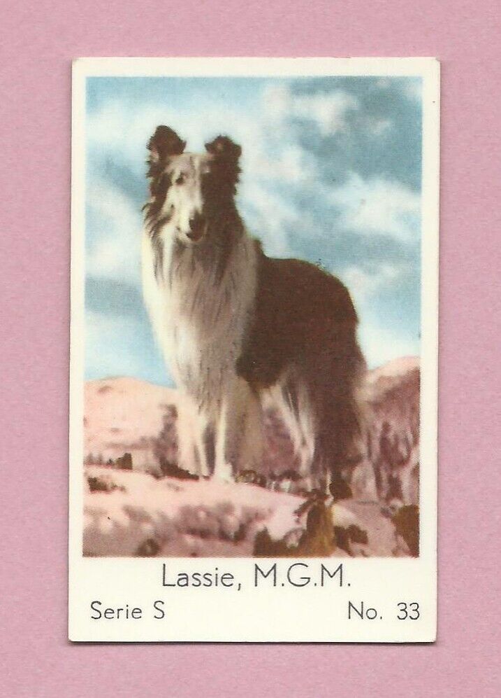1957 Dutch Gum Card Serie S #33 Lassie