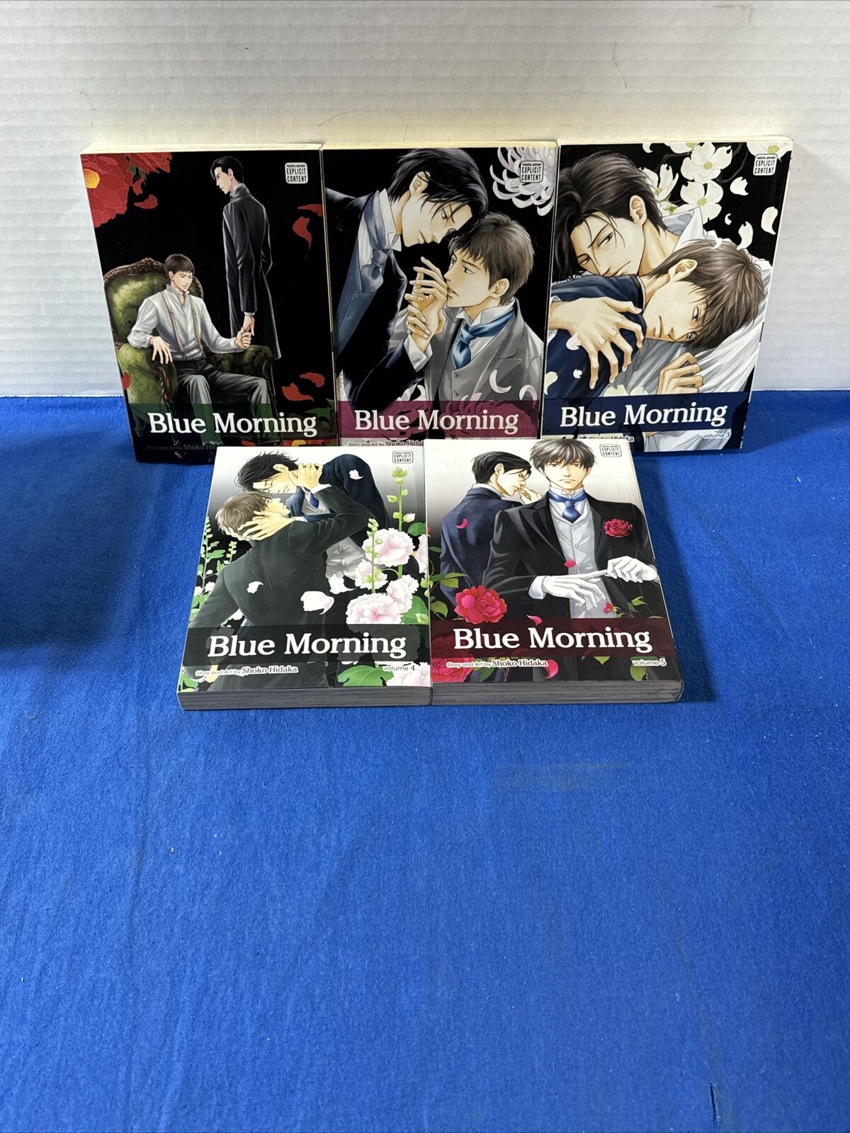 Blue Morning Complete English Sublime Manga by Shoko Hidaka Volumes 1-5 PB
