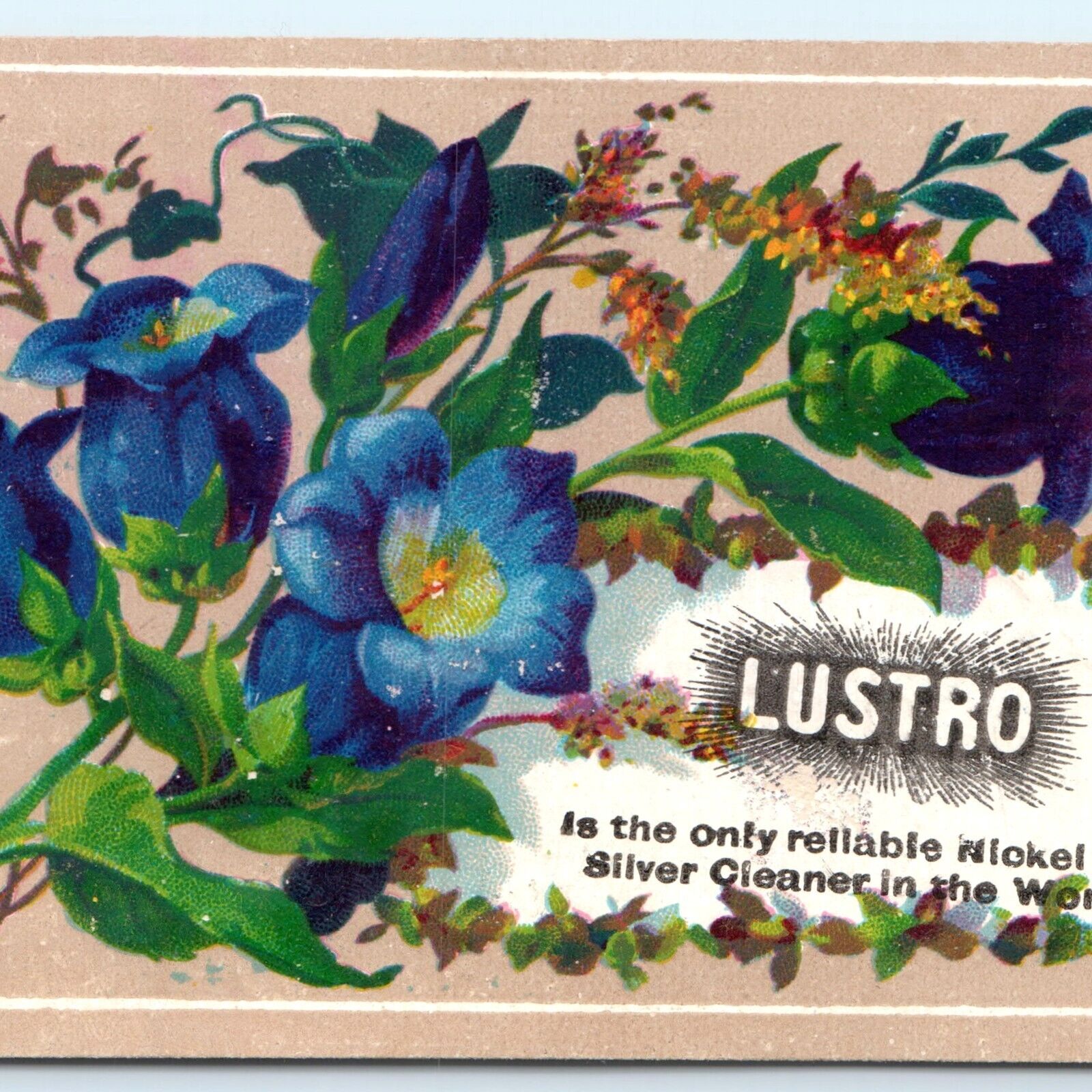 c1880s Lustro Metal Polish Floral Trade Card Nickel Silver Shine New York C48