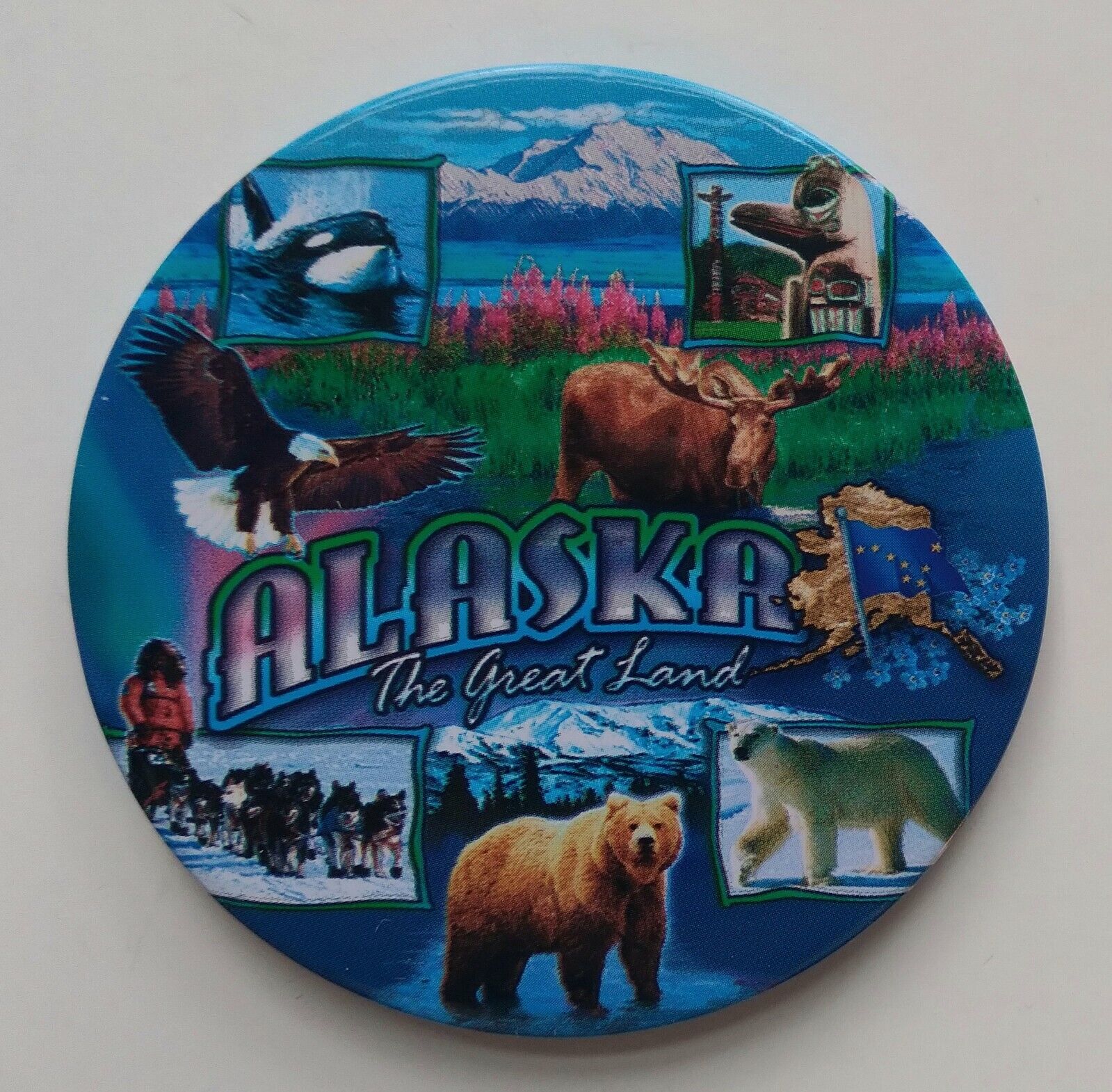Alaska Refrigerator Magnets Souvenir Wildlife Bears Whale Scenery Totem 3\