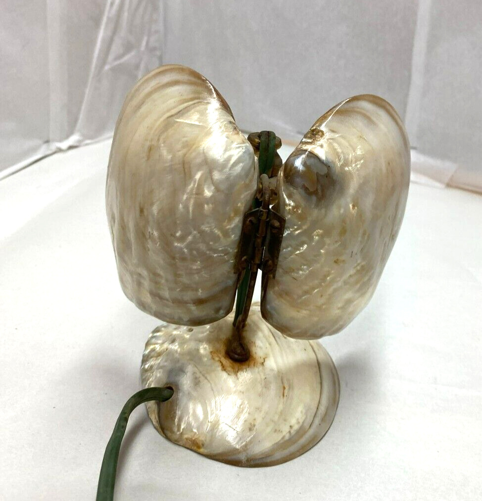VINTAGE Clam Sea Shell LAMP open and close Works 5.5 inch